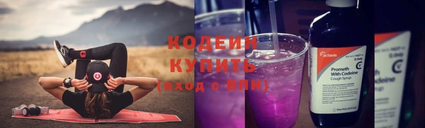 дурь Гусь-Хрустальный